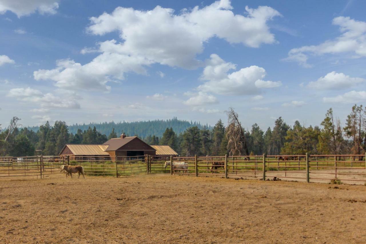 Circle 4 Ranch 25 | Discover Санрівер Екстер'єр фото